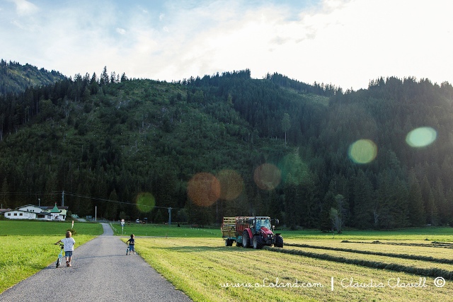 patinetes-yedoo-en-tanheim_2